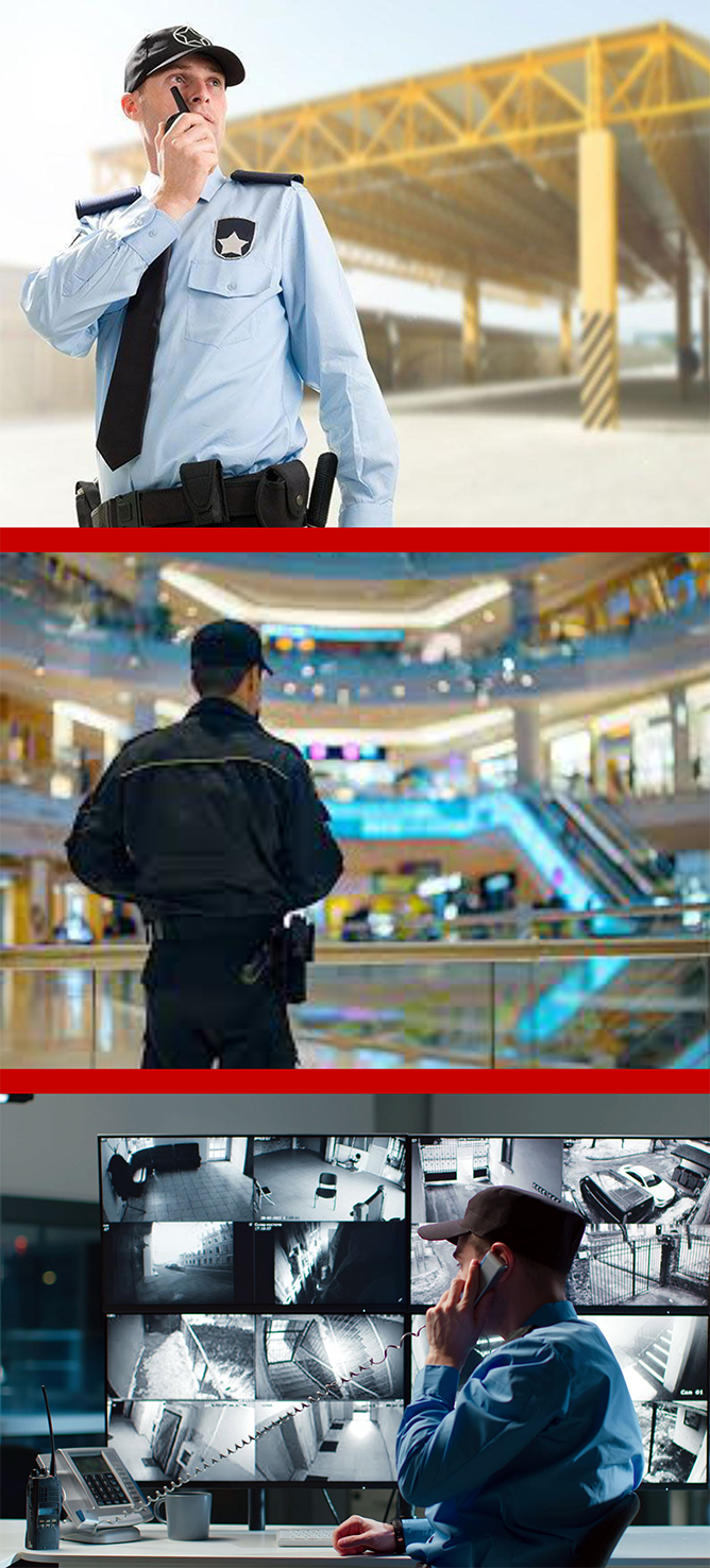 seguridad privada seguridad privada